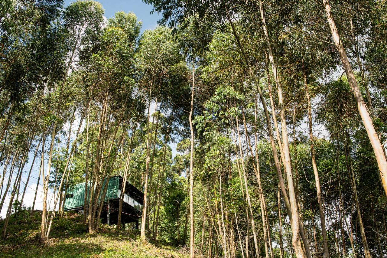 Casa Container Figo Em Meio A Natureza Na Serra Gaucha 플로레스 다 쿠냐 외부 사진